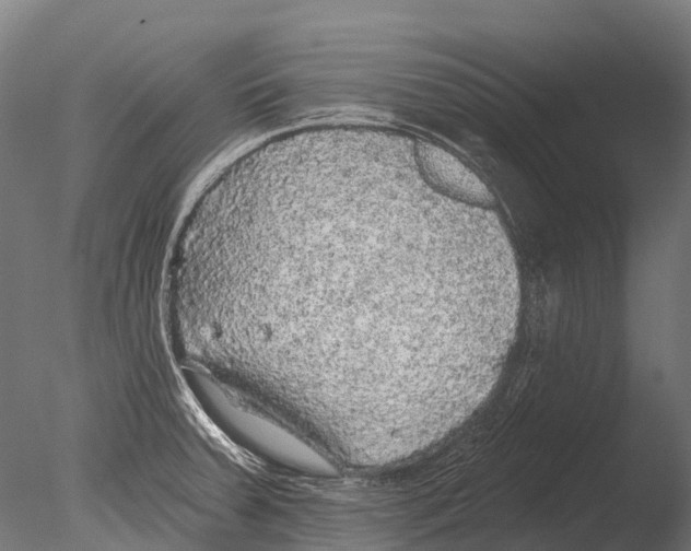 X0000085001379200704021322