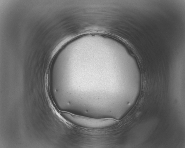 X0000085001383200704021322