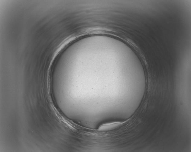 X0000085001384200704021322