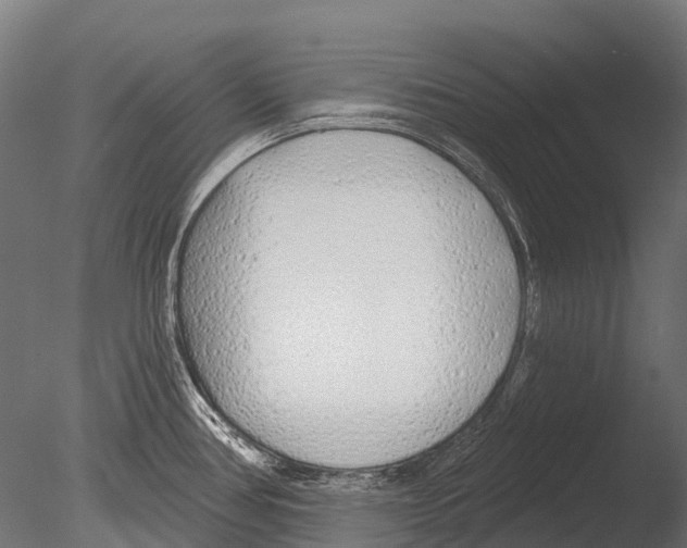 X0000085001386200704021322