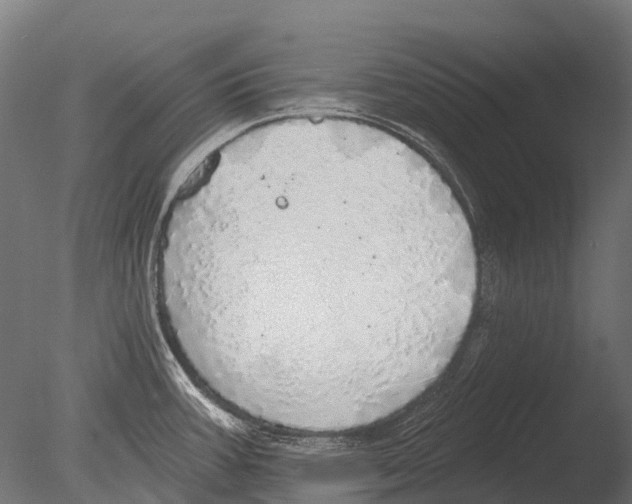 X0000085001387200704021322