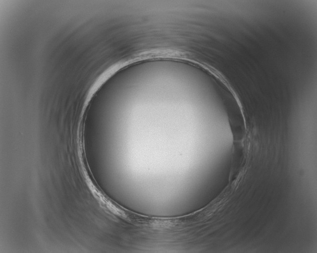 X0000085001389200704021322