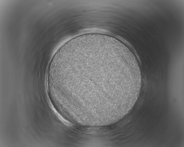 X0000085001391200704021322