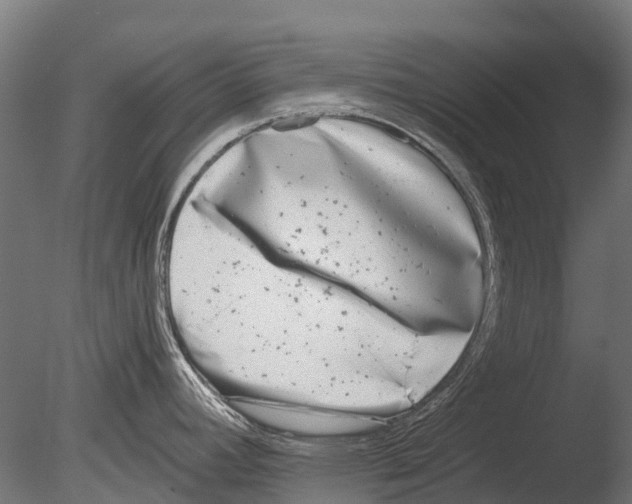 X0000085001392200704021322