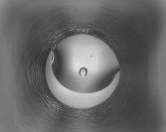 X0000085001394200704021321