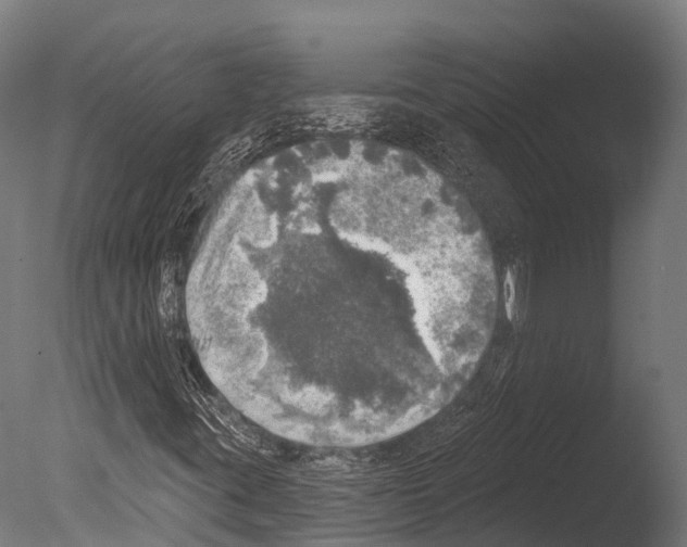 X0000085001395200704021321