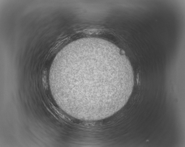 X0000085001396200704021321