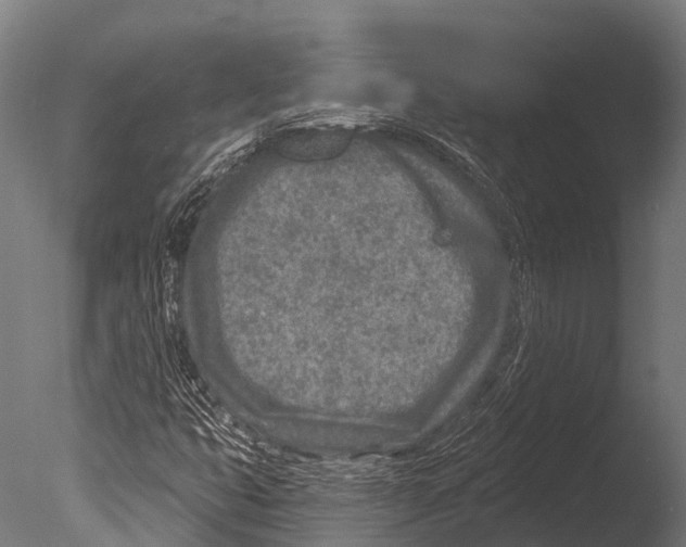 X0000085001399200704021321