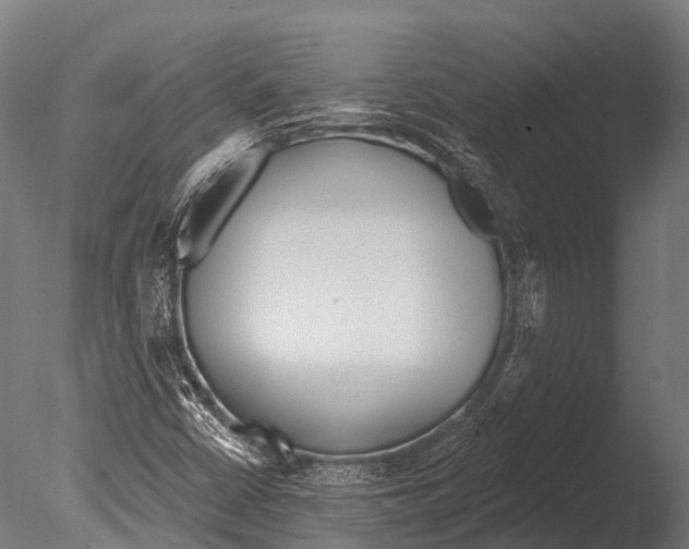 X0000085001402200704021321