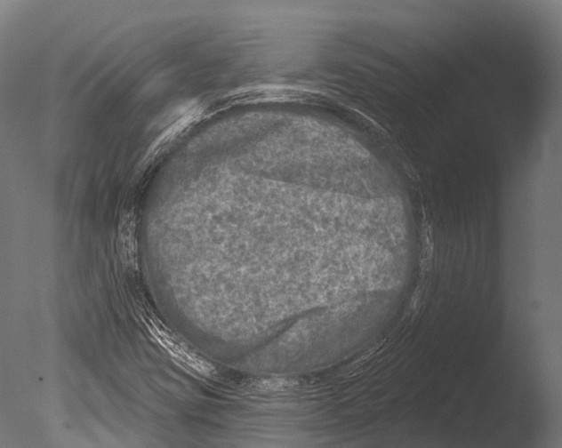 X0000085001403200704021321