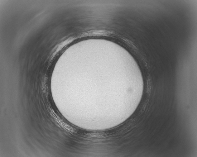 X0000085001404200704021321