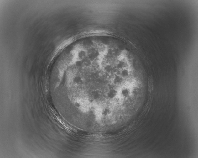 X0000085001405200704021321