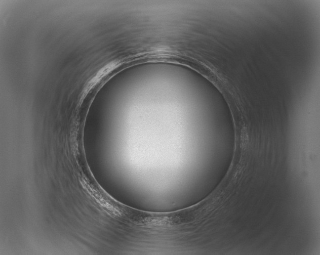 X0000085001410200704021321