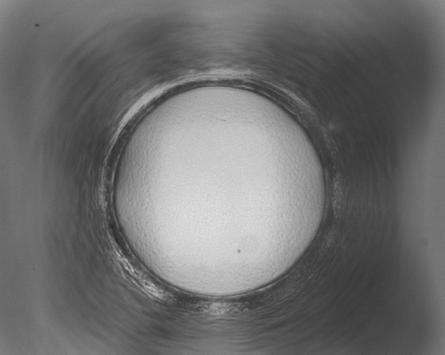 X0000085001412200704021321