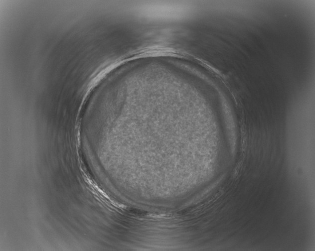 X0000085001415200704021321