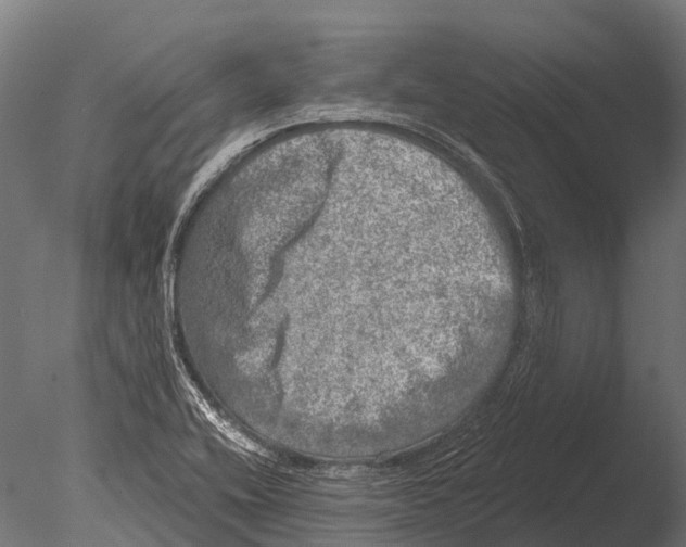 X0000085001416200704021321