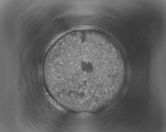 X0000085001417200704021321