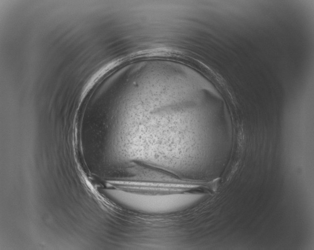 X0000085001418200704021321