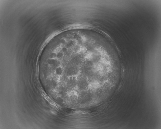 X0000085001419200704021321