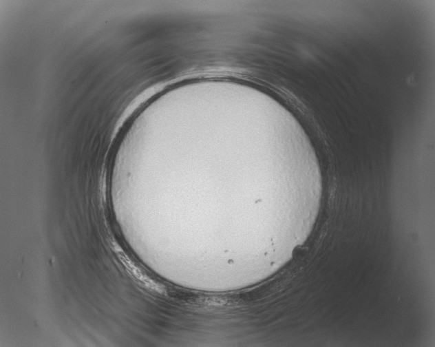 X0000085001420200704021322