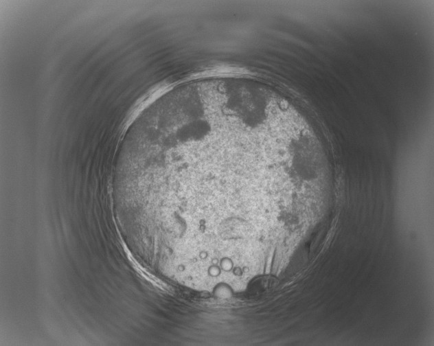 X0000085001425200704021322