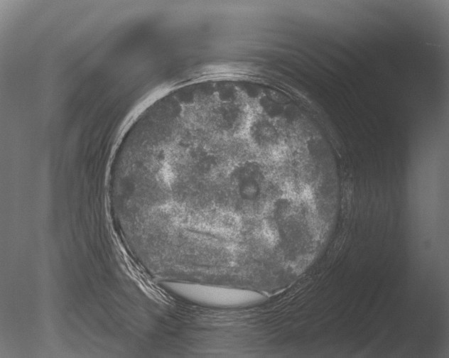 X0000085001427200704021322