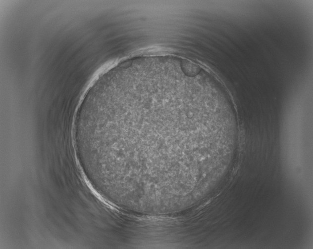 X0000085001429200704021322