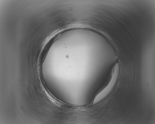 X0000085001430200704021322