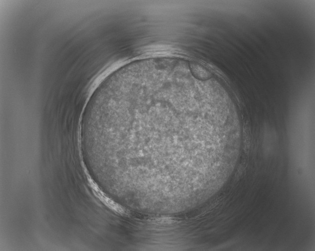 X0000085001431200704021322