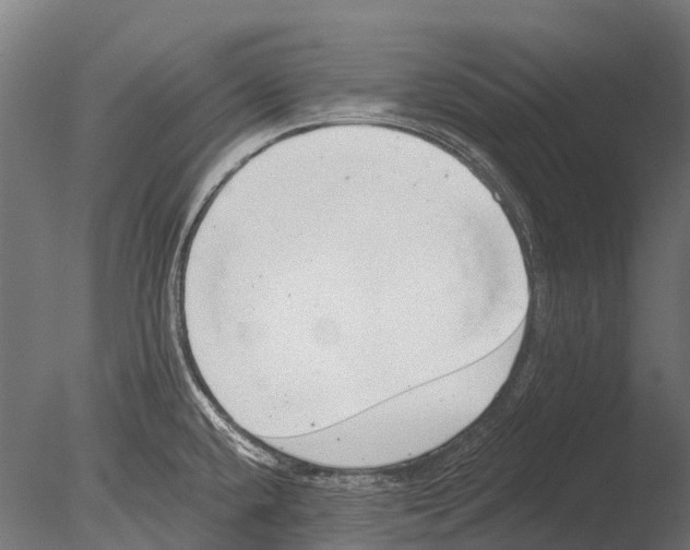 X0000085001432200704021322