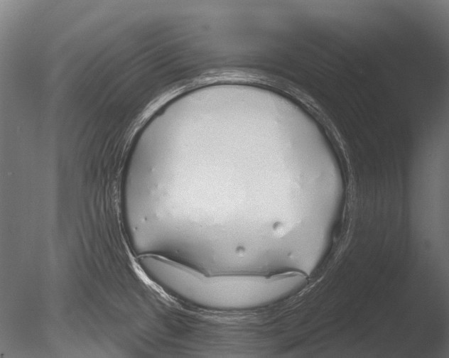 X0000085001433200704021322