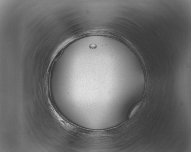 X0000085001434200704021322