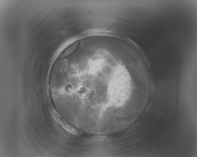 X0000085001435200704021322