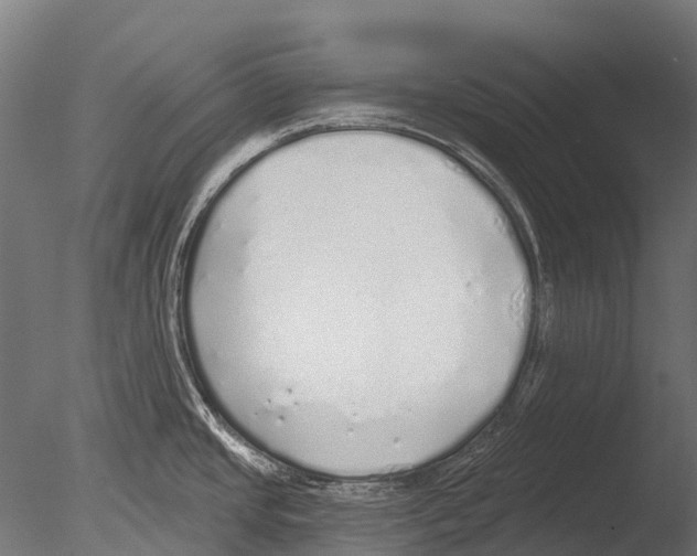 X0000085001437200704021322