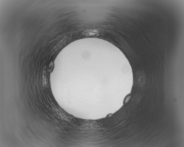 X0000085001442200704021321