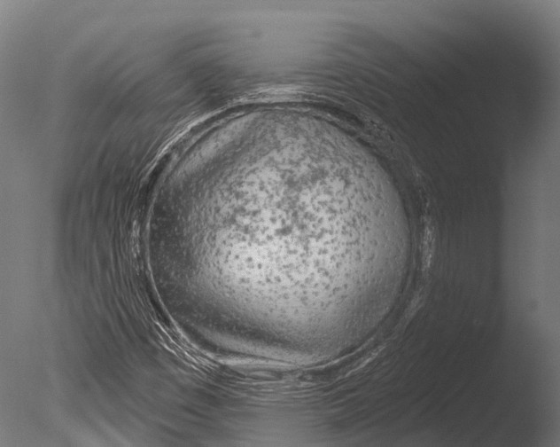 X0000085001449200704021321