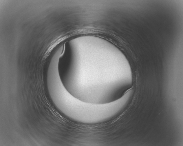 X0000085001453200704021321