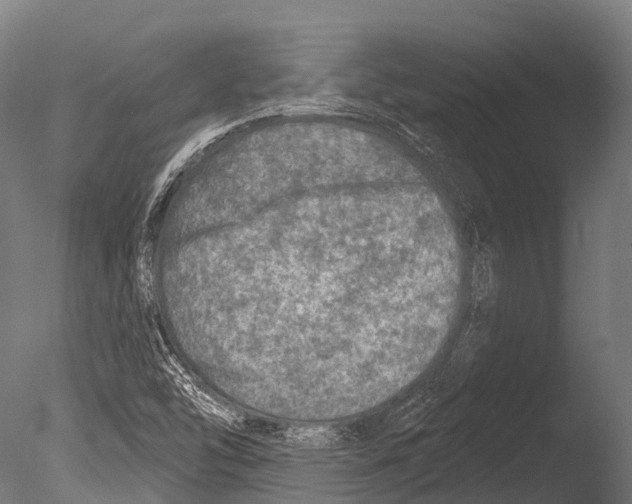 X0000085001454200704021321