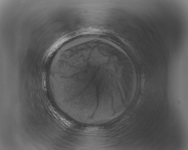 X0000085001455200704021321