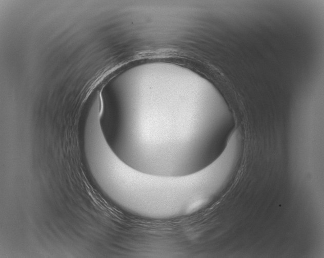 X0000085001457200704021321