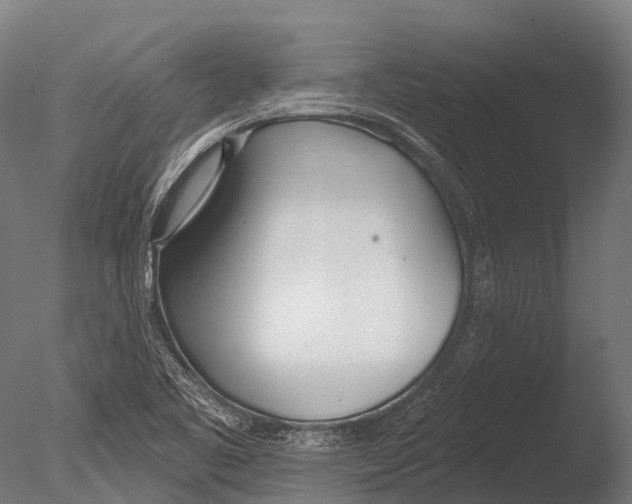 X0000085001461200704021321