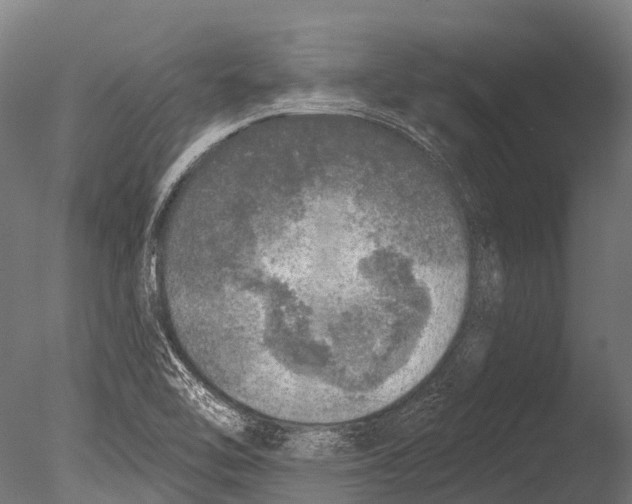 X0000085001462200704021321