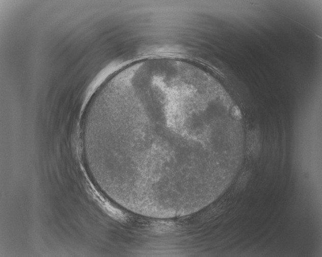 X0000085001470200704021321