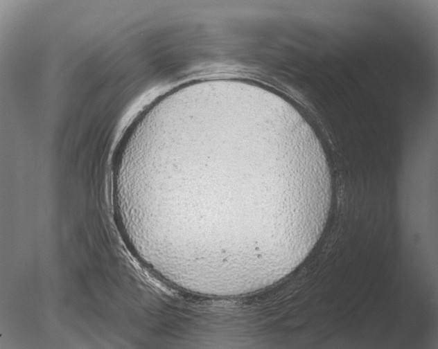 X0000085001472200704021320