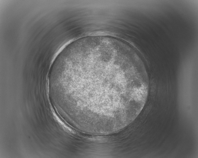 X0000085001476200704021320