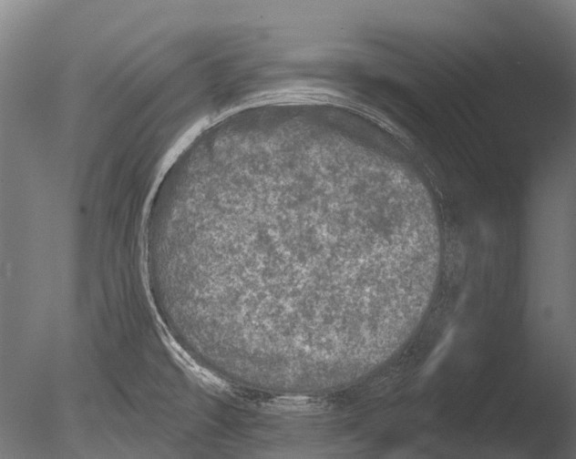 X0000085001478200704021320