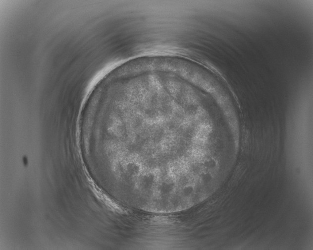 X0000085001480200704021320