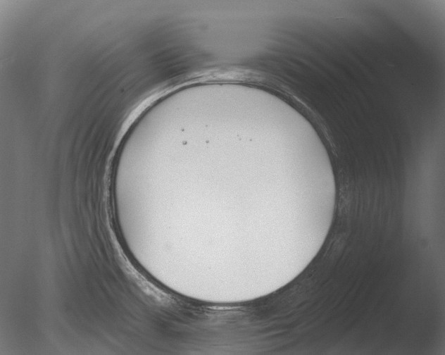 X0000085001483200704021320