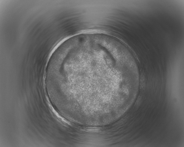 X0000085001484200704021320