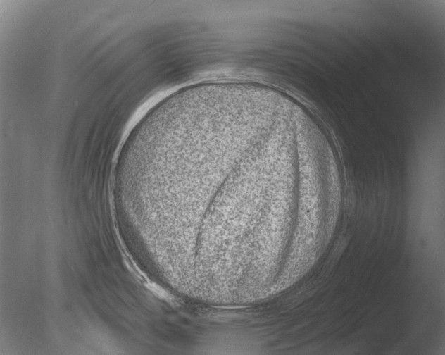 X0000085001486200704021320